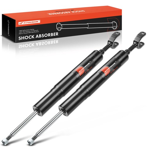 Stossdämpfer gasdruck - 2x,